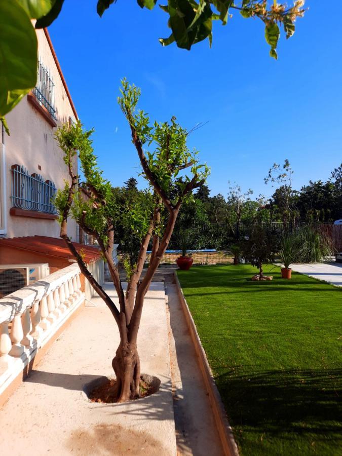 Villa Domaine Des Pins Saint-Esteve (Pyrenees-Orientales)